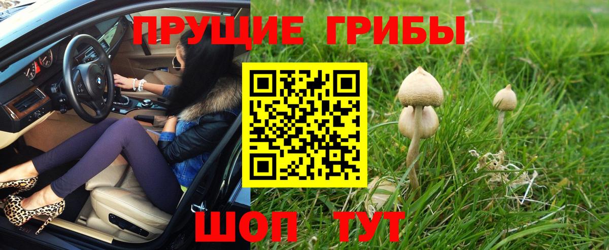 Псилоцибиновые грибы мухоморы Добрянка