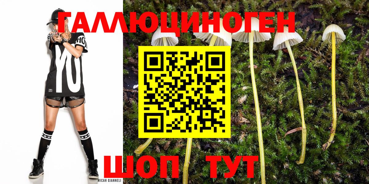 Псилоцибиновые грибы Psilocybine cubensis  купить наркотик  Добрянка  Вход с VPN  Галлюциногенные грибы GOLDEN TEACHER 